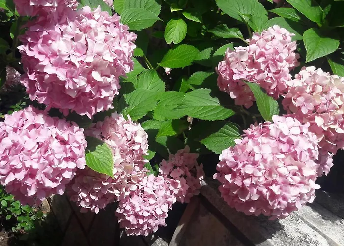 Marija Appartement Poreč